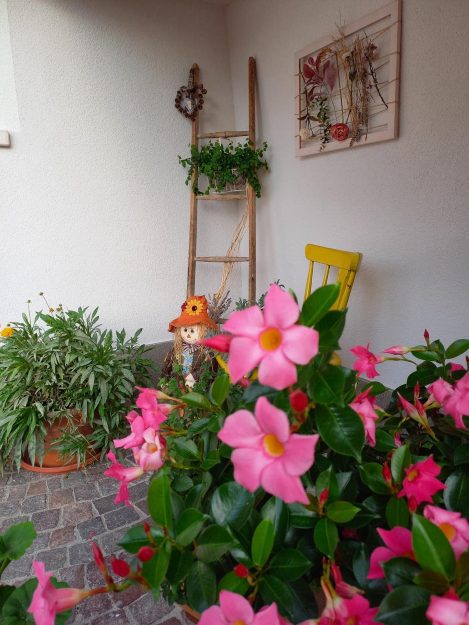 Casa Vacanze Paola Romeno Zewnętrze zdjęcie